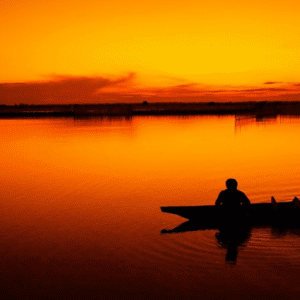 People fishing at sunset