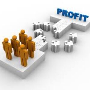 Profit - Sales Xceleration